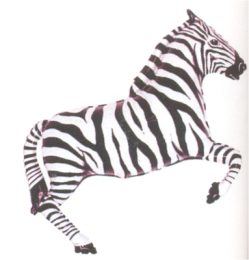 Foil balloon Zebra