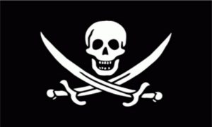 Fahne Pirat mit Sbel