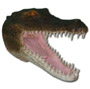 Krokodil Kopf K739