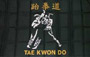 Fahne Tae Kwon Do